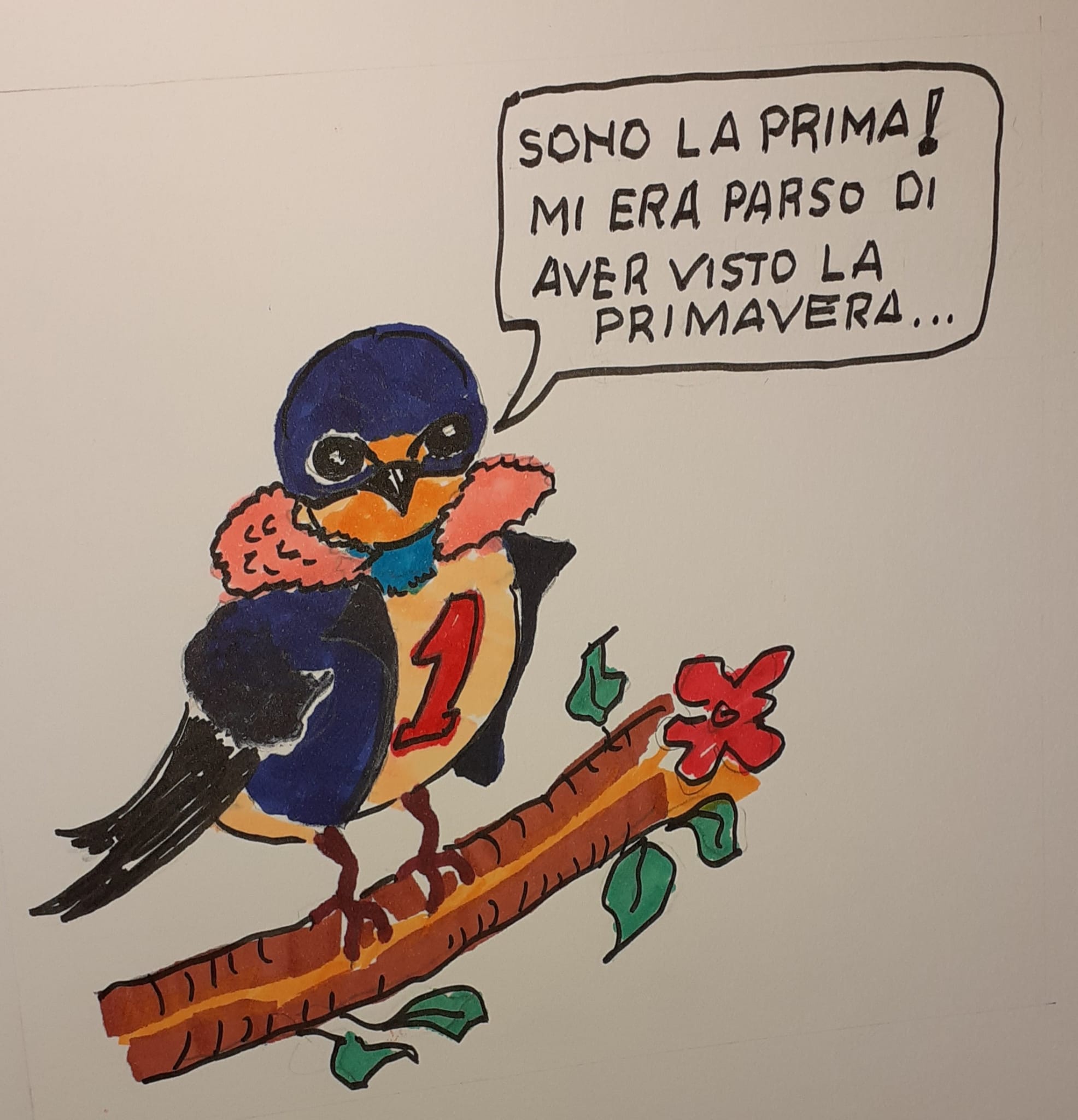 Una rondine non fa primavera